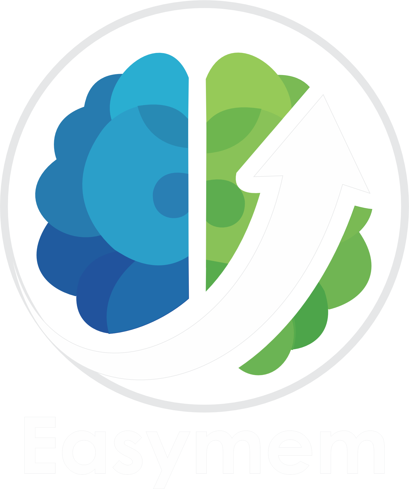 EasyMem Logo